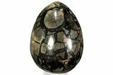 Giant, Polished Septarian Puzzle Geode ( lbs) - Black Crystals #108495-3
